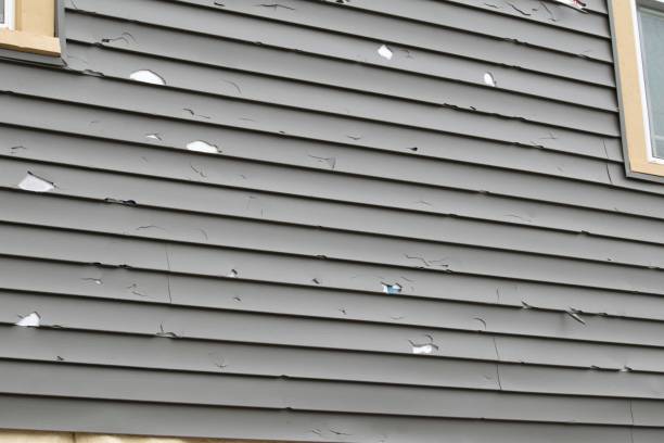 Best Engineered Wood Siding  in USA